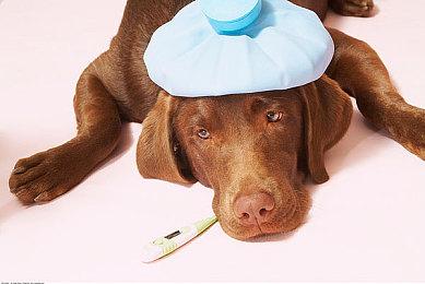 日本超级任天堂世界新扩展“大金刚国度”2024年春季开放